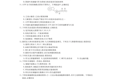 高一试题_2025年12月高一试卷_251202浙江省强基联盟2025-2026学年高一上学期11月期中_浙江省强基联盟2025-2026学年高一上学期11月期中生物试题（图片版，含答案）