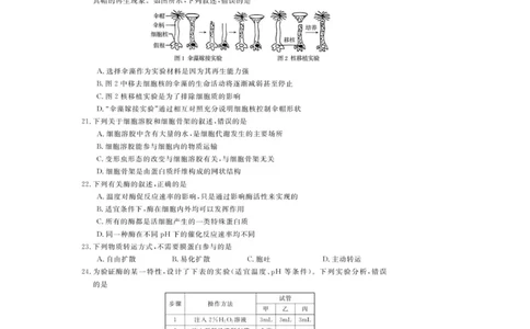 高一试题_2025年12月高一试卷_251202浙江省强基联盟2025-2026学年高一上学期11月期中_浙江省强基联盟2025-2026学年高一上学期11月期中生物试题（图片版，含答案）