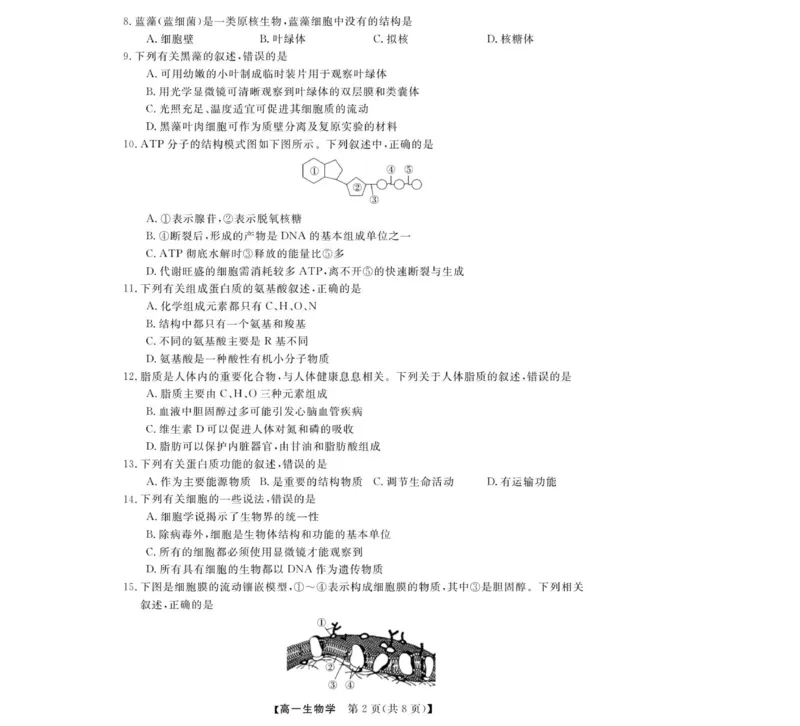 高一试题_2025年12月高一试卷_251202浙江省强基联盟2025-2026学年高一上学期11月期中_浙江省强基联盟2025-2026学年高一上学期11月期中生物试题（图片版，含答案）