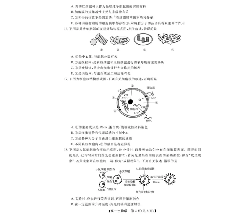 高一试题_2025年12月高一试卷_251202浙江省强基联盟2025-2026学年高一上学期11月期中_浙江省强基联盟2025-2026学年高一上学期11月期中生物试题（图片版，含答案）
