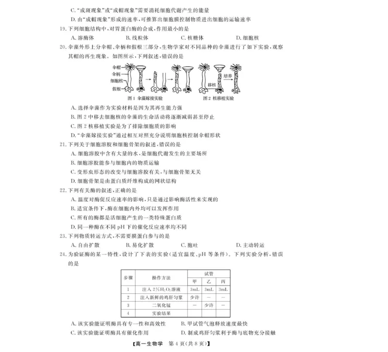 高一试题_2025年12月高一试卷_251202浙江省强基联盟2025-2026学年高一上学期11月期中_浙江省强基联盟2025-2026学年高一上学期11月期中生物试题（图片版，含答案）