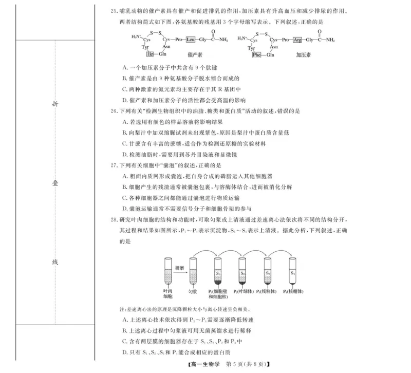 高一试题_2025年12月高一试卷_251202浙江省强基联盟2025-2026学年高一上学期11月期中_浙江省强基联盟2025-2026学年高一上学期11月期中生物试题（图片版，含答案）