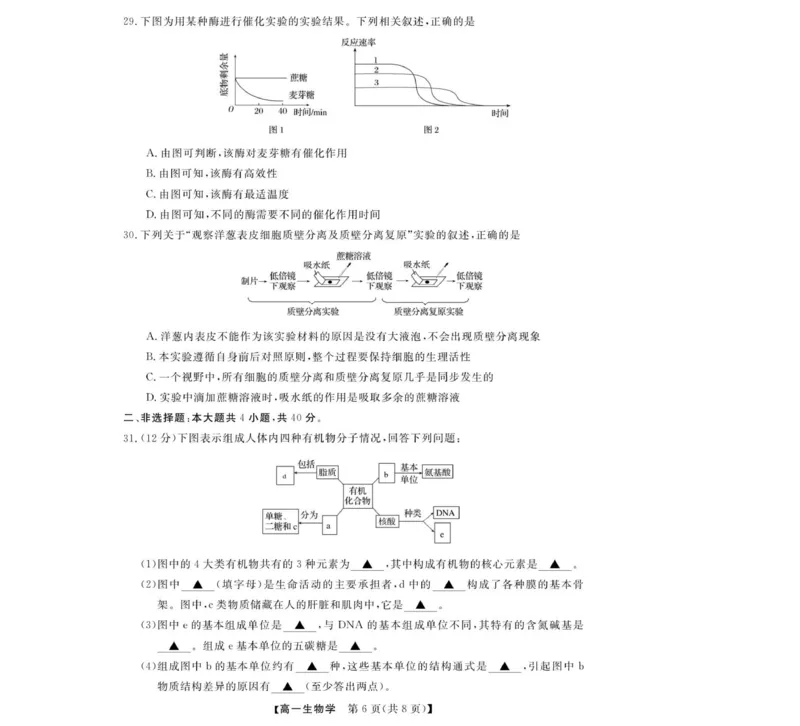 高一试题_2025年12月高一试卷_251202浙江省强基联盟2025-2026学年高一上学期11月期中_浙江省强基联盟2025-2026学年高一上学期11月期中生物试题（图片版，含答案）