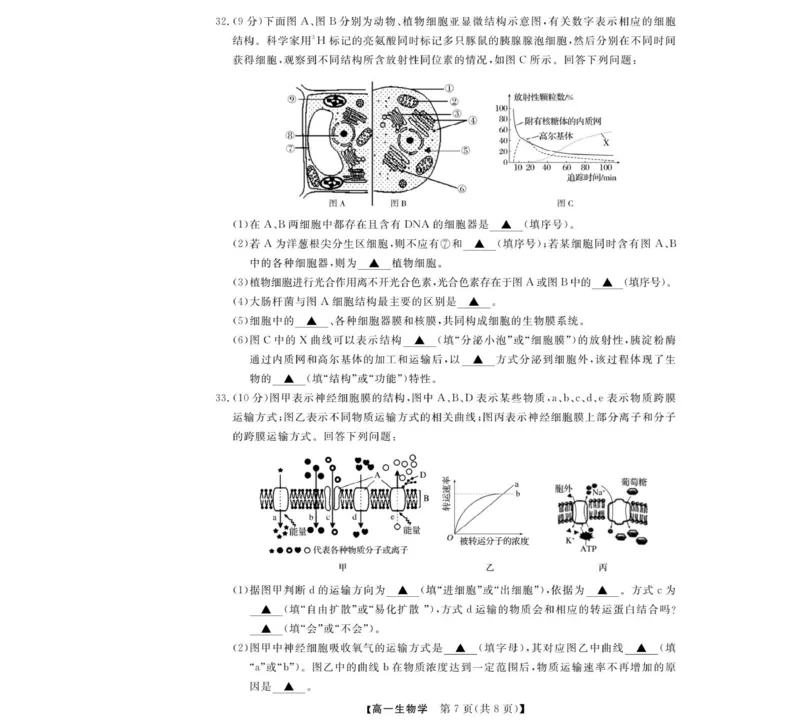 高一试题_2025年12月高一试卷_251202浙江省强基联盟2025-2026学年高一上学期11月期中_浙江省强基联盟2025-2026学年高一上学期11月期中生物试题（图片版，含答案）