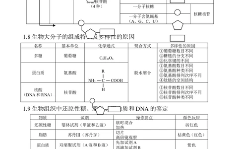 （超详）高中生物知识点归纳汇总_通用版（老高考）复习资料_2023年复习资料_专项复习