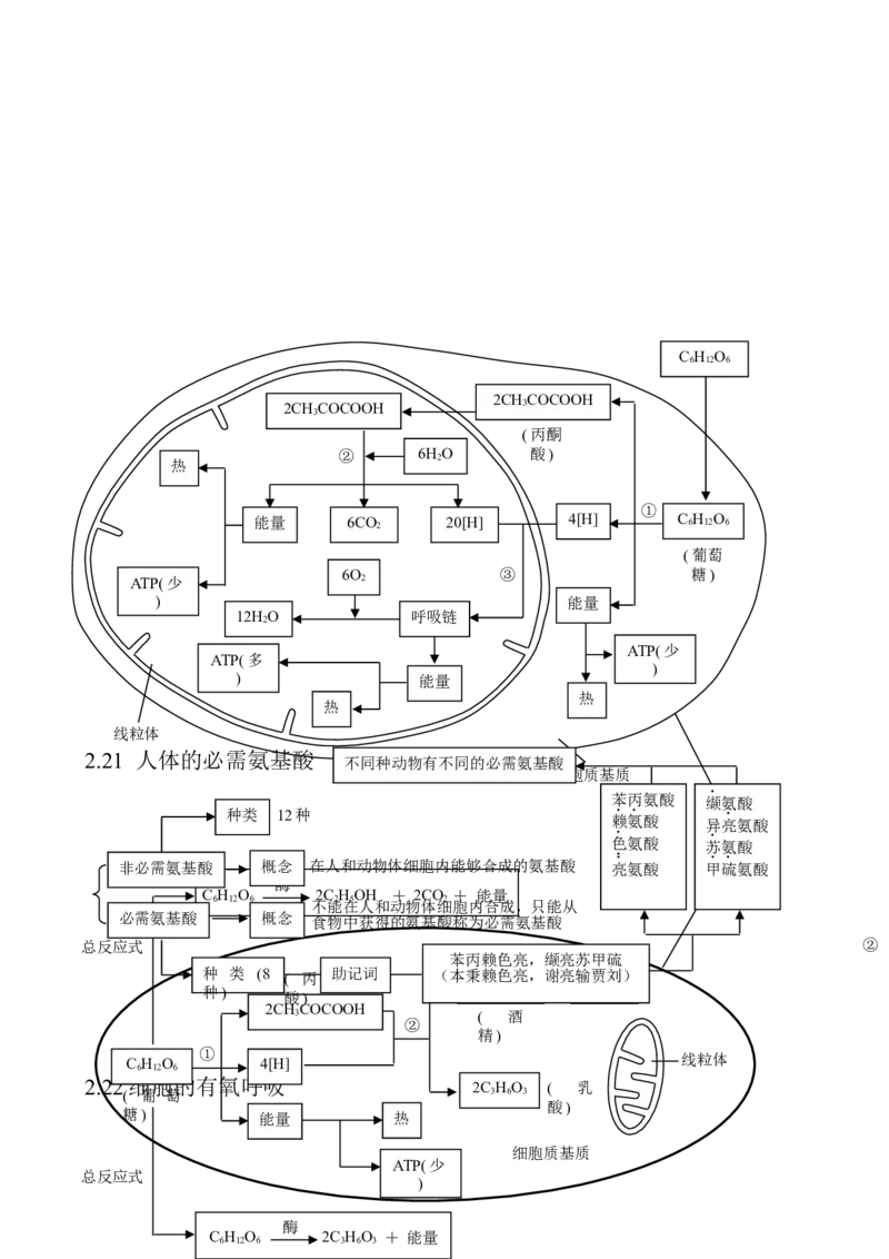 （超详）高中生物知识点归纳汇总_通用版（老高考）复习资料_2023年复习资料_专项复习