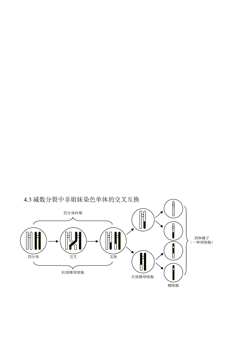 （超详）高中生物知识点归纳汇总_通用版（老高考）复习资料_2023年复习资料_专项复习
