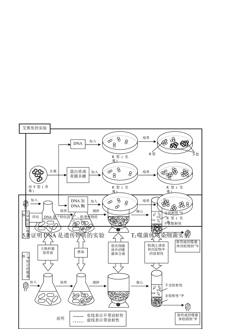 （超详）高中生物知识点归纳汇总_通用版（老高考）复习资料_2023年复习资料_专项复习