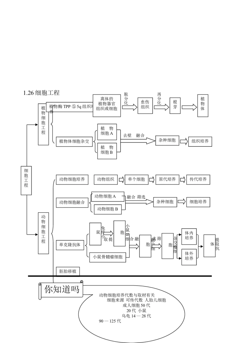 （超详）高中生物知识点归纳汇总_通用版（老高考）复习资料_2023年复习资料_专项复习
