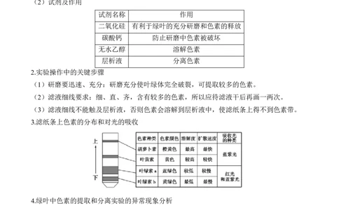 （6）光合作用&mdash;&mdash;2025届高考生物二轮复习易错重难提升（含解析）_2025年新高考资料_二轮复习_2025届高考生物二轮复习易错重难提升（含解析）