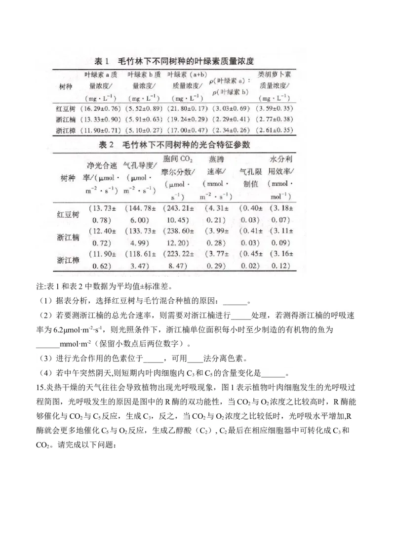 （6）光合作用&mdash;&mdash;2025届高考生物二轮复习易错重难提升（含解析）_2025年新高考资料_二轮复习_2025届高考生物二轮复习易错重难提升（含解析）