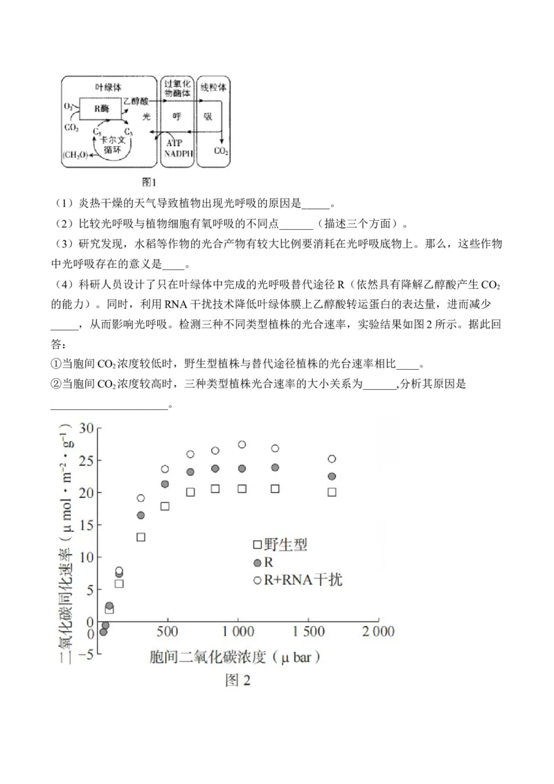 （6）光合作用&mdash;&mdash;2025届高考生物二轮复习易错重难提升（含解析）_2025年新高考资料_二轮复习_2025届高考生物二轮复习易错重难提升（含解析）