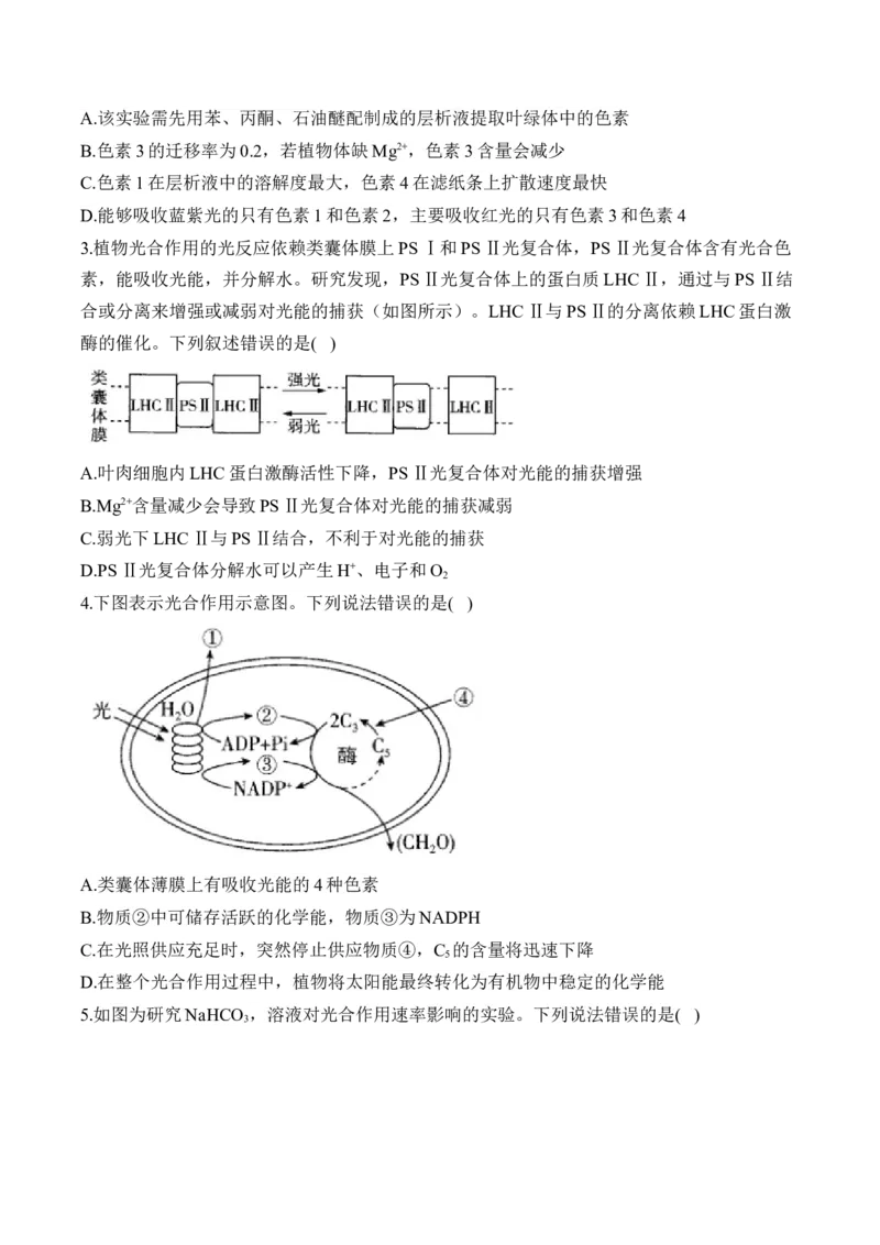 （6）光合作用&mdash;&mdash;2025届高考生物二轮复习易错重难提升（含解析）_2025年新高考资料_二轮复习_2025届高考生物二轮复习易错重难提升（含解析）