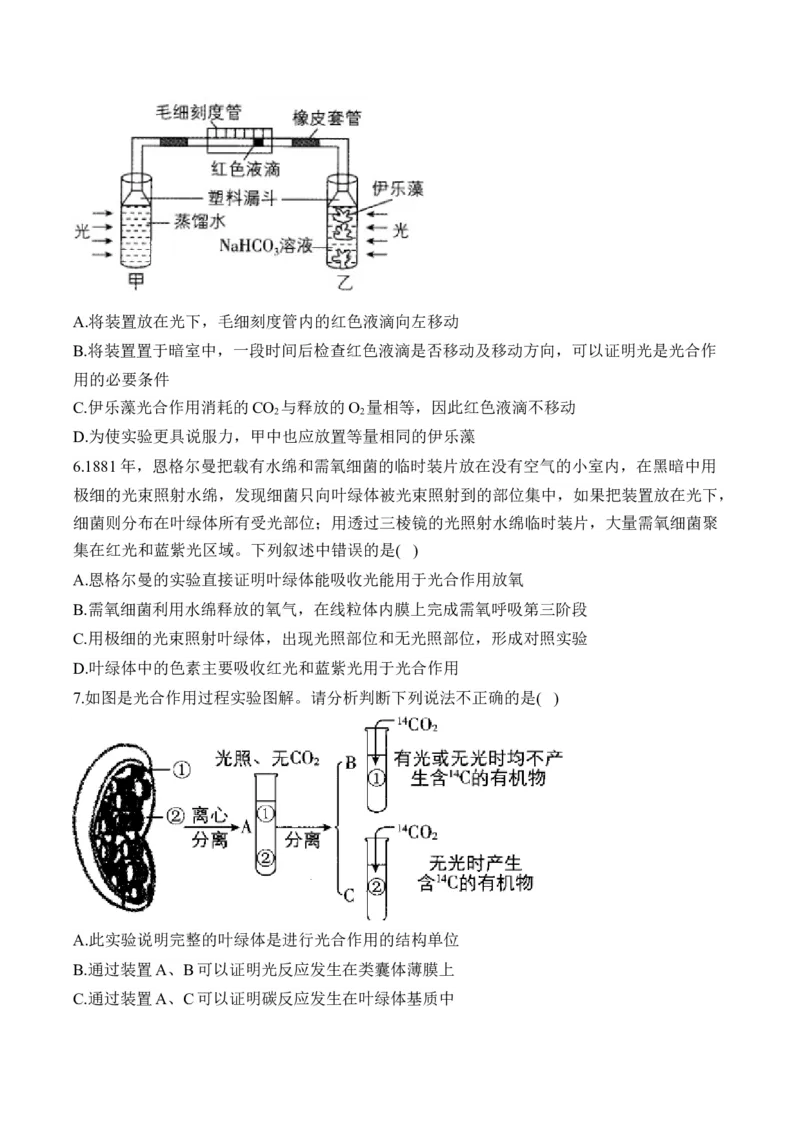 （6）光合作用&mdash;&mdash;2025届高考生物二轮复习易错重难提升（含解析）_2025年新高考资料_二轮复习_2025届高考生物二轮复习易错重难提升（含解析）