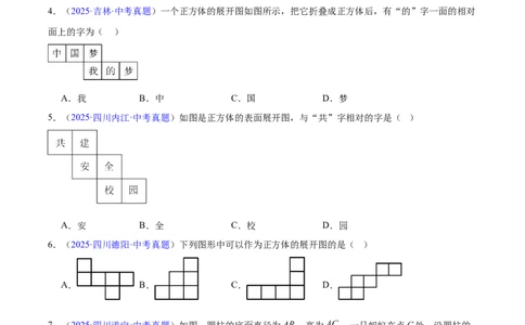 专题13几何图形初步与平行线（全国通用）（原卷版）_中考复习资料_语数英物化_2数学中考复习_2026年中考复习（更新中）