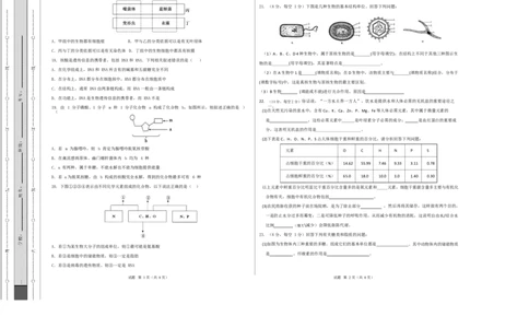 高一生物上学期第一次月考（山东专用）测试范围：人教版2019必修1第1章~第2章（考试版A3）_2025年10月高一试卷_2510032025-2026学年高一生物上学期第一次月考