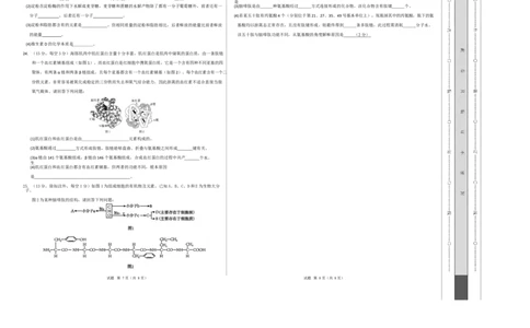 高一生物上学期第一次月考（山东专用）测试范围：人教版2019必修1第1章~第2章（考试版A3）_2025年10月高一试卷_2510032025-2026学年高一生物上学期第一次月考