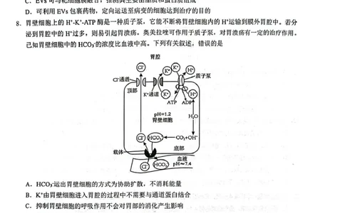 高一生物高一生物_2025年02月试卷_0213江西省赣州市2024-2025学年高一上学期1月期末考试_江西省赣州市2024-2025学年高一上学期1月期末考试生物PDF版含解析