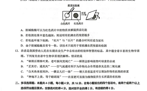 高一生物高一生物_2025年02月试卷_0213江西省赣州市2024-2025学年高一上学期1月期末考试_江西省赣州市2024-2025学年高一上学期1月期末考试生物PDF版含解析