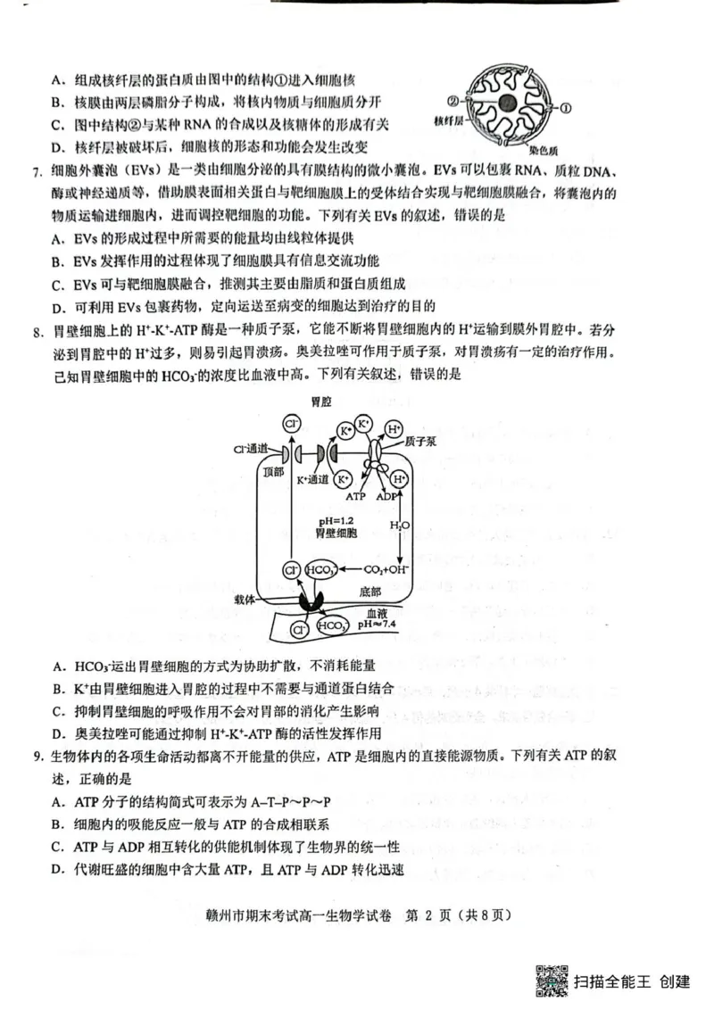 高一生物高一生物_2025年02月试卷_0213江西省赣州市2024-2025学年高一上学期1月期末考试_江西省赣州市2024-2025学年高一上学期1月期末考试生物PDF版含解析