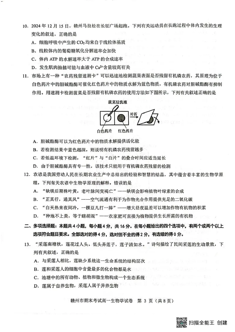 高一生物高一生物_2025年02月试卷_0213江西省赣州市2024-2025学年高一上学期1月期末考试_江西省赣州市2024-2025学年高一上学期1月期末考试生物PDF版含解析