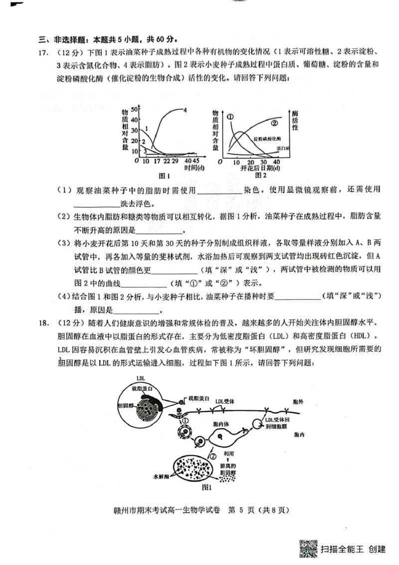 高一生物高一生物_2025年02月试卷_0213江西省赣州市2024-2025学年高一上学期1月期末考试_江西省赣州市2024-2025学年高一上学期1月期末考试生物PDF版含解析