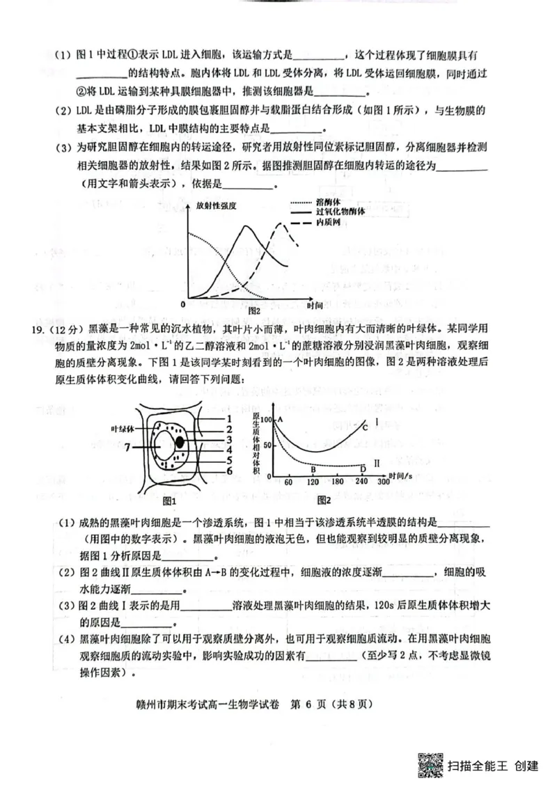 高一生物高一生物_2025年02月试卷_0213江西省赣州市2024-2025学年高一上学期1月期末考试_江西省赣州市2024-2025学年高一上学期1月期末考试生物PDF版含解析