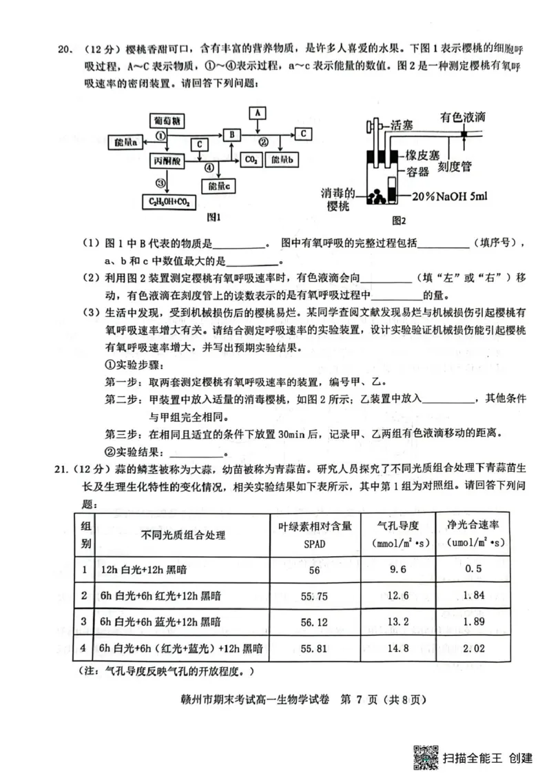 高一生物高一生物_2025年02月试卷_0213江西省赣州市2024-2025学年高一上学期1月期末考试_江西省赣州市2024-2025学年高一上学期1月期末考试生物PDF版含解析