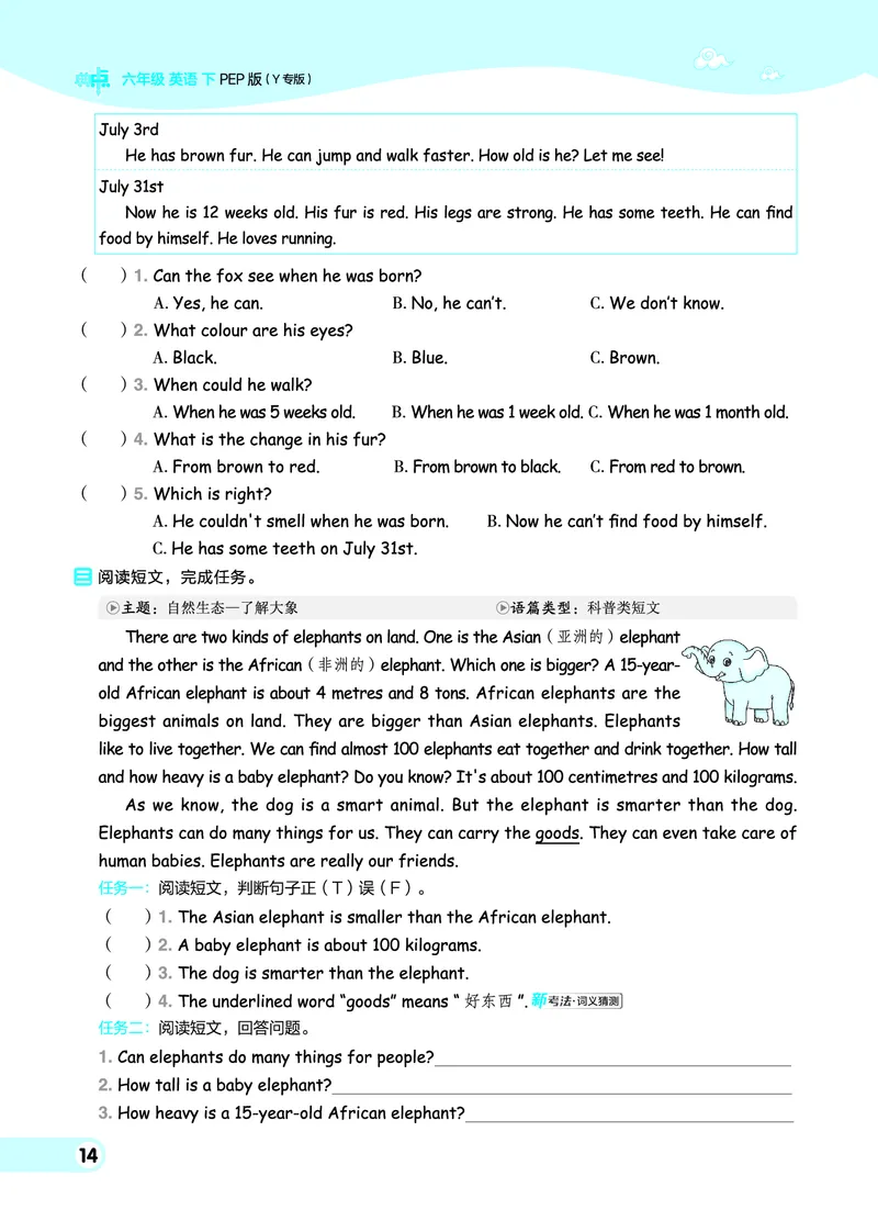 26春典中点六年级英语下（R-pep版）Y专版地区适用_2026春小学教辅大合集_6-26春《典中点》系列_26春《典中点》英语（R-pep版）3-6年级下册_26春典中点六年级英语下（R-pep版）