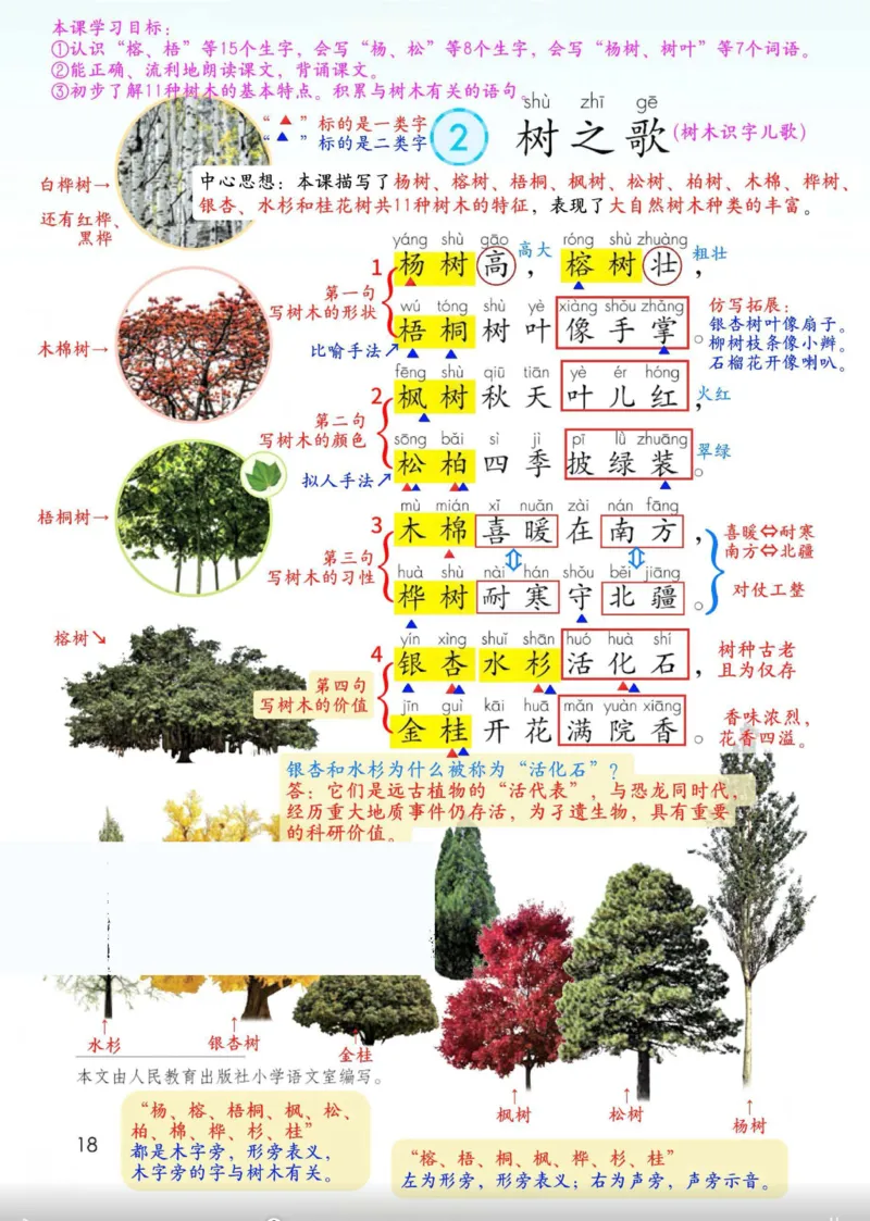 2年级上册（新教材版详细版）2025秋_小学《课堂笔记》数学语文英语1-6年级下册_小学语文《课堂笔记》1-6年级下册（26春）_小学语文《课堂笔记》1-6年级上册（25秋）