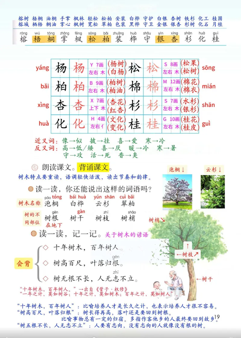 2年级上册（新教材版详细版）2025秋_小学《课堂笔记》数学语文英语1-6年级下册_小学语文《课堂笔记》1-6年级下册（26春）_小学语文《课堂笔记》1-6年级上册（25秋）