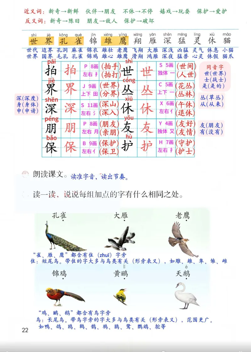 2年级上册（新教材版详细版）2025秋_小学《课堂笔记》数学语文英语1-6年级下册_小学语文《课堂笔记》1-6年级下册（26春）_小学语文《课堂笔记》1-6年级上册（25秋）
