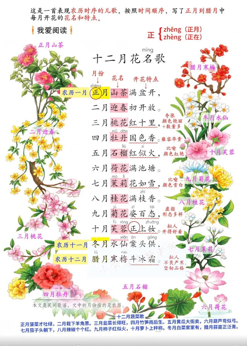 2年级上册（新教材版详细版）2025秋_小学《课堂笔记》数学语文英语1-6年级下册_小学语文《课堂笔记》1-6年级下册（26春）_小学语文《课堂笔记》1-6年级上册（25秋）