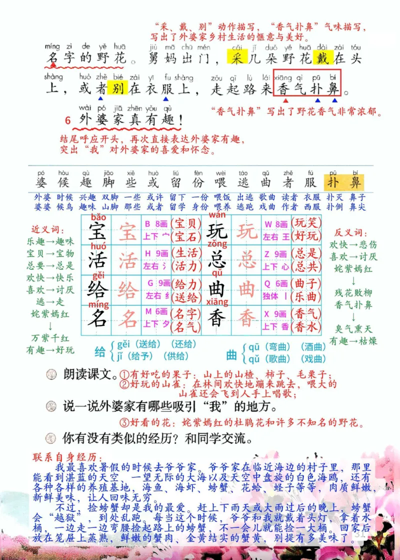 2年级上册（新教材版详细版）2025秋_小学《课堂笔记》数学语文英语1-6年级下册_小学语文《课堂笔记》1-6年级下册（26春）_小学语文《课堂笔记》1-6年级上册（25秋）