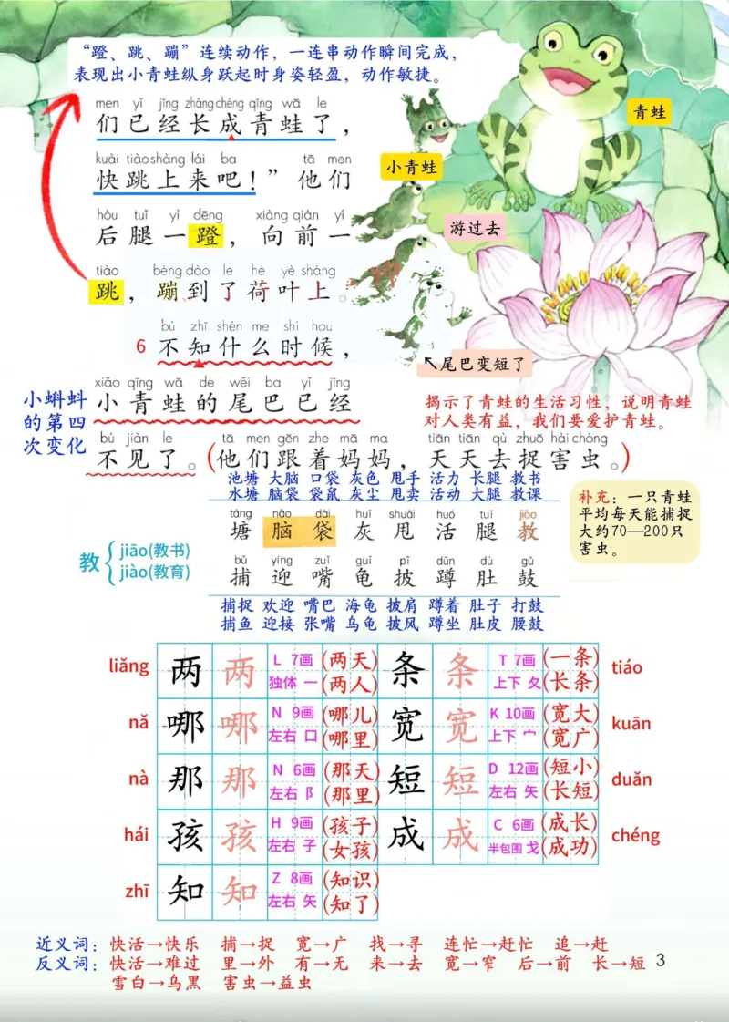 2年级上册（新教材版详细版）2025秋_小学《课堂笔记》数学语文英语1-6年级下册_小学语文《课堂笔记》1-6年级下册（26春）_小学语文《课堂笔记》1-6年级上册（25秋）