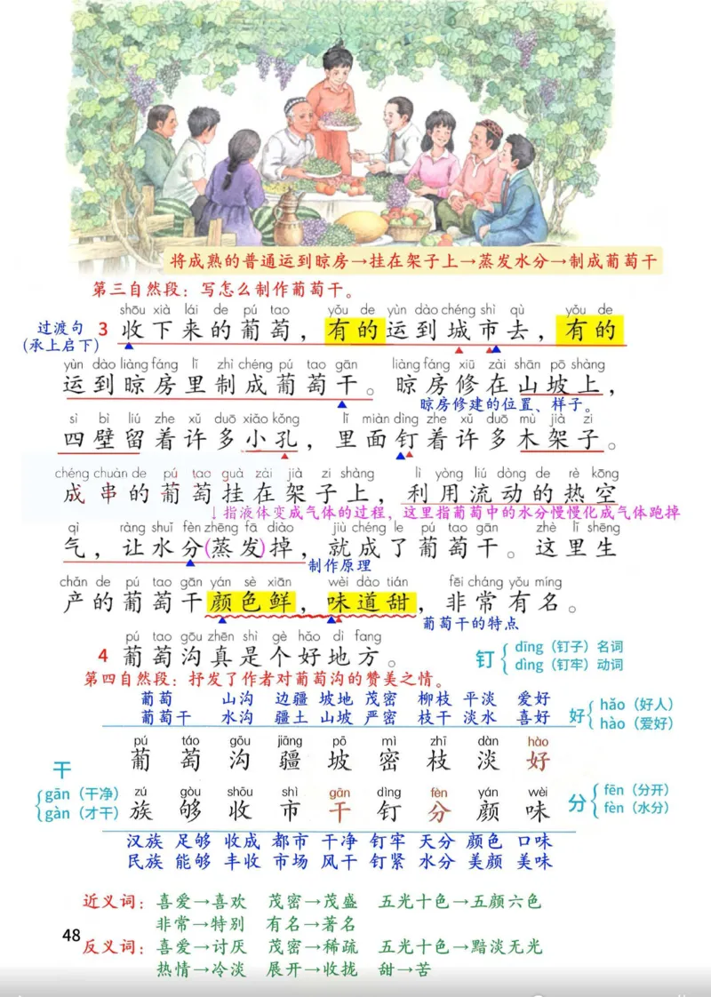 2年级上册（新教材版详细版）2025秋_小学《课堂笔记》数学语文英语1-6年级下册_小学语文《课堂笔记》1-6年级下册（26春）_小学语文《课堂笔记》1-6年级上册（25秋）