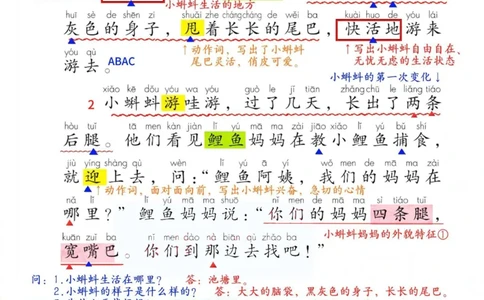 2年级上册（新教材版详细版）2025秋_小学《课堂笔记》数学语文英语1-6年级下册_小学语文《课堂笔记》1-6年级下册（26春）_小学语文《课堂笔记》1-6年级上册（25秋）