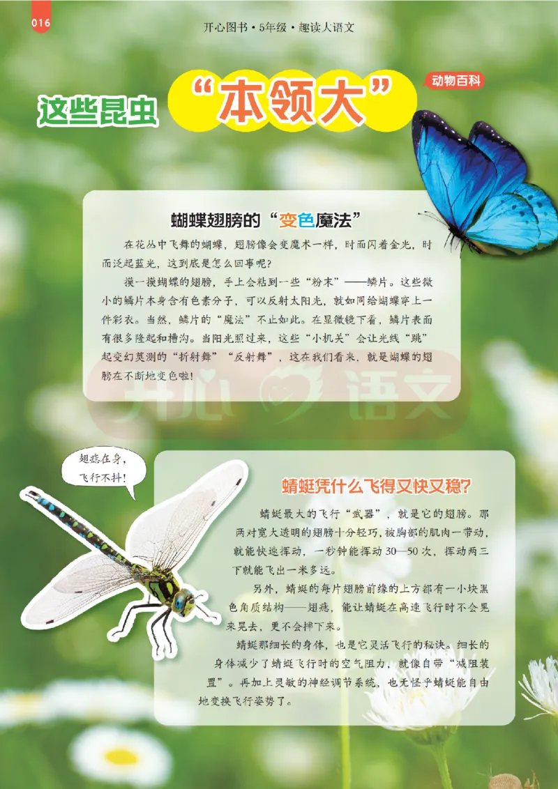 5下趣读大语文-围绕课本做拓展的杂志_2026春小学教辅大合集_13-26春《开心》系列_《趣读》杂志系列_《趣读大语文》