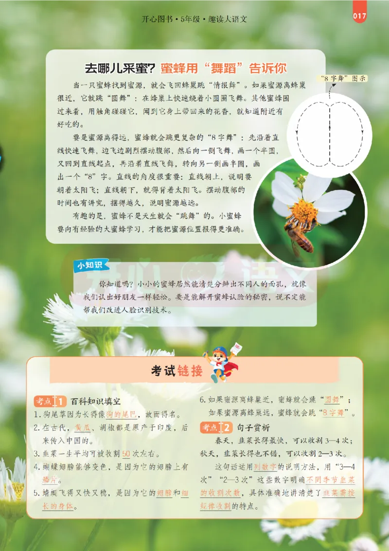 5下趣读大语文-围绕课本做拓展的杂志_2026春小学教辅大合集_13-26春《开心》系列_《趣读》杂志系列_《趣读大语文》