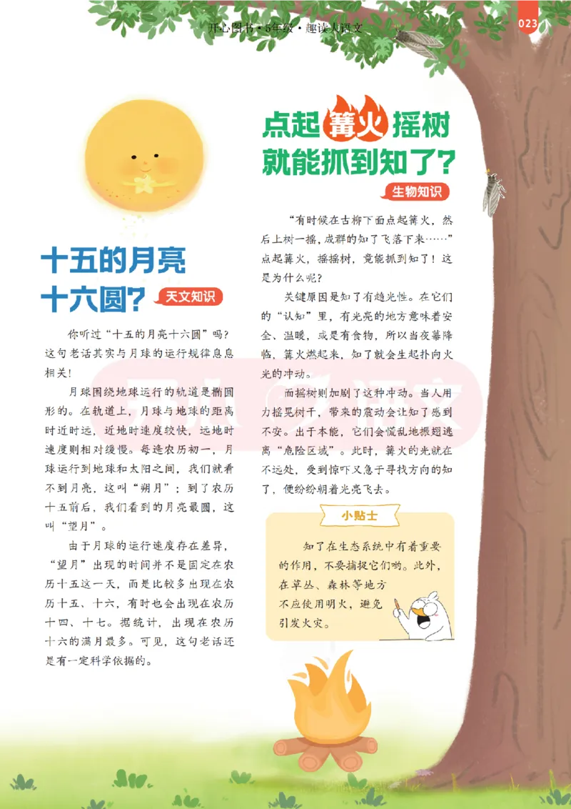 5下趣读大语文-围绕课本做拓展的杂志_2026春小学教辅大合集_13-26春《开心》系列_《趣读》杂志系列_《趣读大语文》