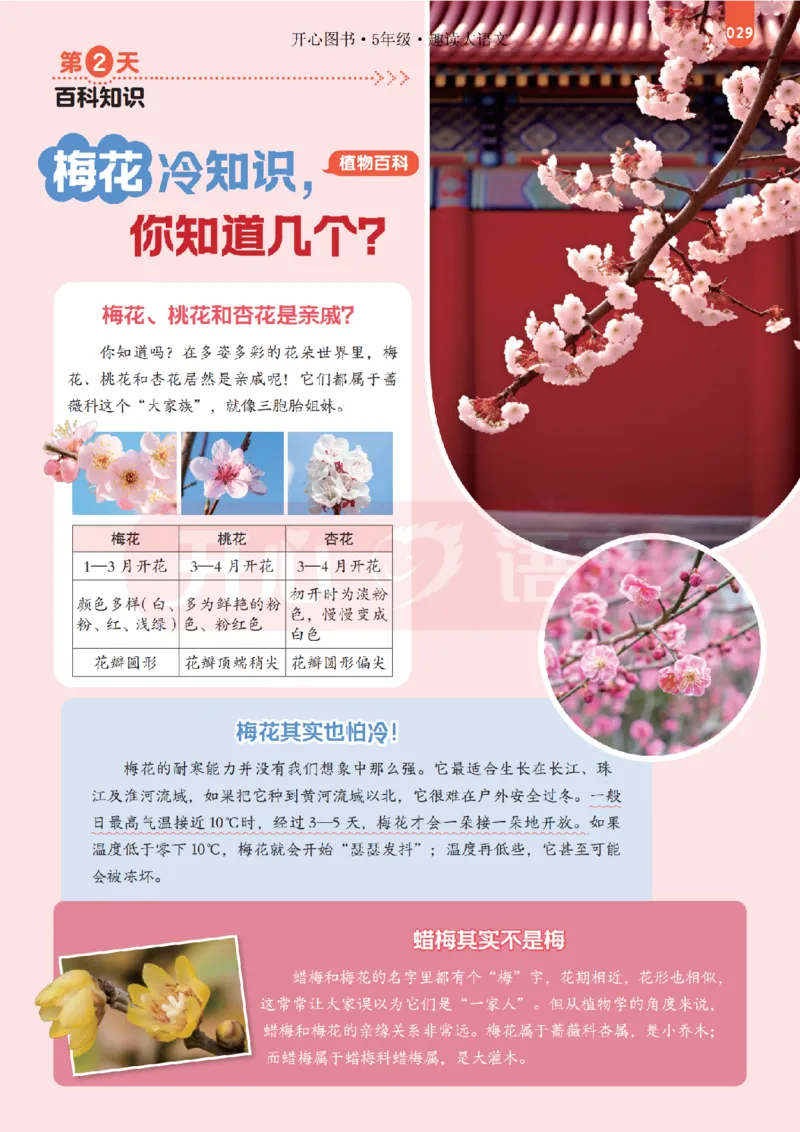 5下趣读大语文-围绕课本做拓展的杂志_2026春小学教辅大合集_13-26春《开心》系列_《趣读》杂志系列_《趣读大语文》