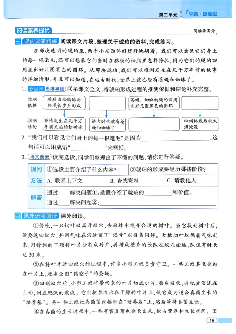 26春四年级下册四星学霸-语文人教四星学霸提高班-主书_2026春小学教辅大合集_9-26春《经纶学霸》系列_26春《四星学霸》系列_26春《四星学霸》语文1-6年级下册