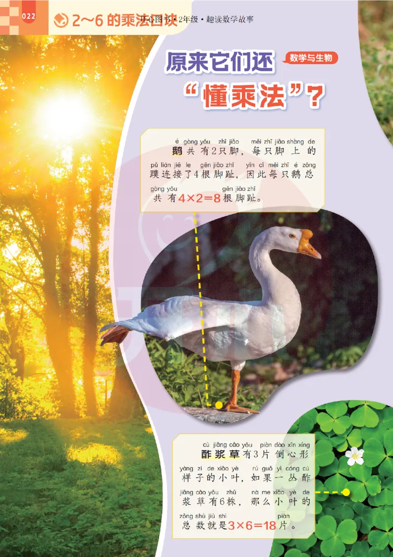 2年级趣读数学故事-理科知识不再枯燥_2026春小学教辅大合集_13-26春《开心》系列_《趣读》杂志系列
