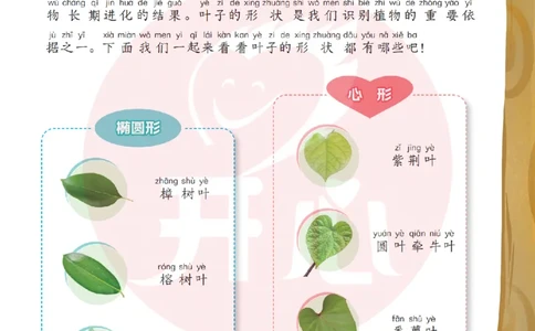 2年级趣读数学故事-理科知识不再枯燥_2026春小学教辅大合集_13-26春《开心》系列_《趣读》杂志系列
