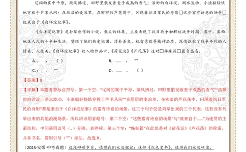 初中标点符号第03组：引号、书名号（答案版）_中考复习资料_语数英物化_1语文中考复习_2026年中考复习（更新中）_2026年中考语文一轮复习讲练测（全国通用）
