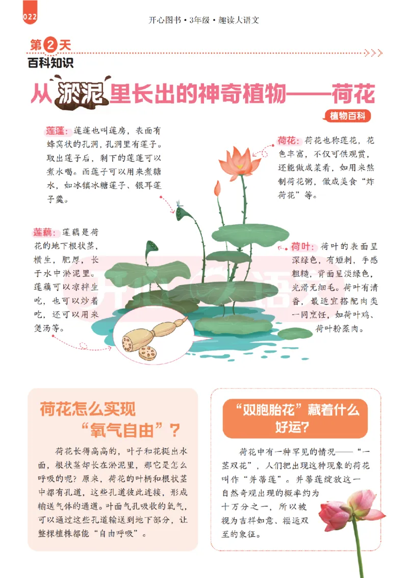 3下趣读大语文-围绕课本做拓展的杂志_2026春小学教辅大合集_13-26春《开心》系列_《趣读》杂志系列_《趣读大语文》