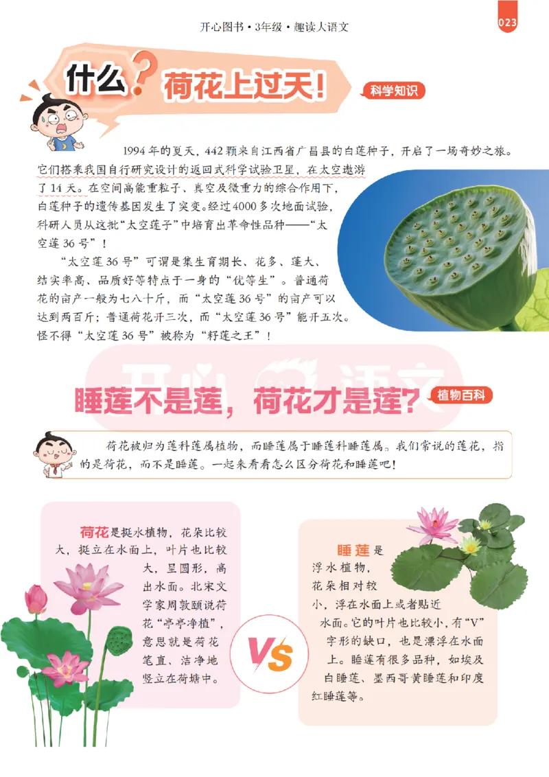 3下趣读大语文-围绕课本做拓展的杂志_2026春小学教辅大合集_13-26春《开心》系列_《趣读》杂志系列_《趣读大语文》