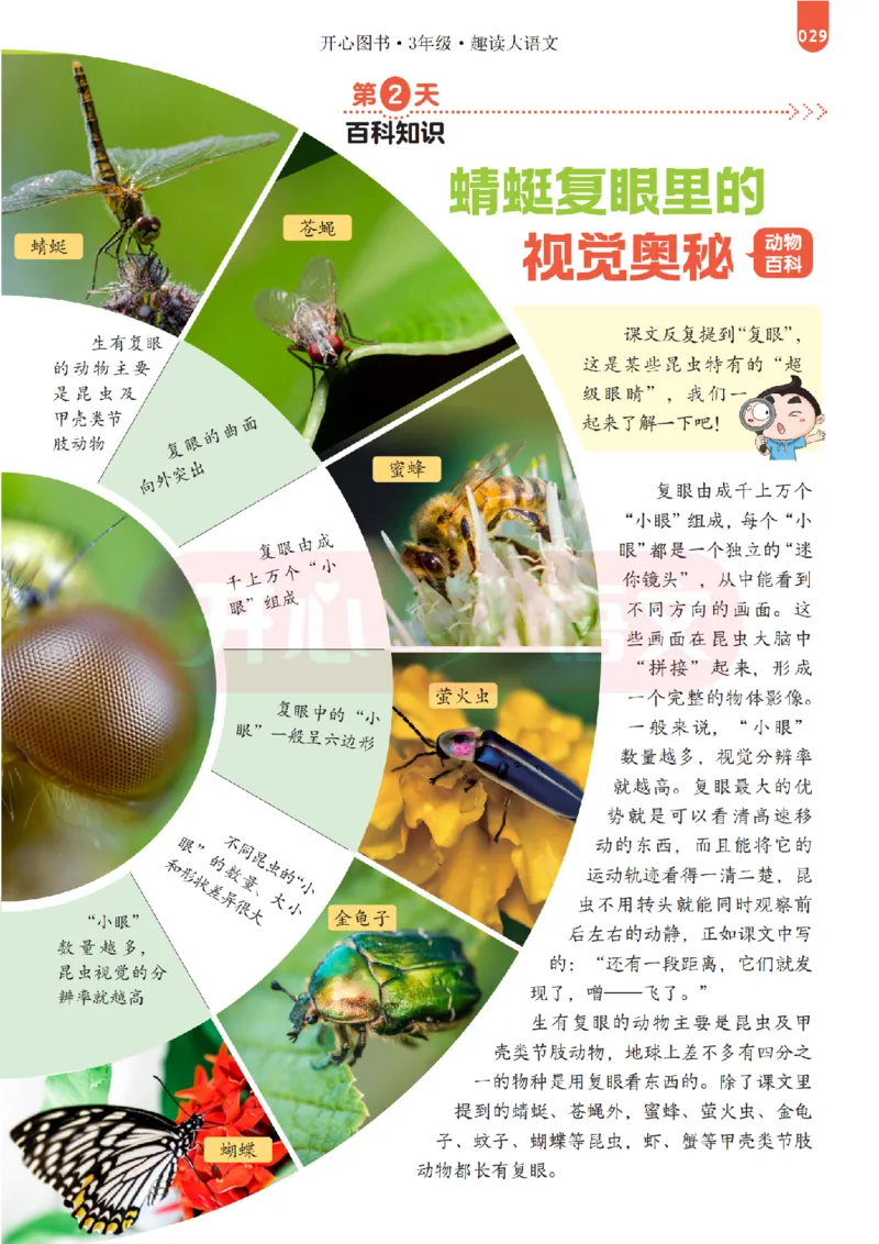 3下趣读大语文-围绕课本做拓展的杂志_2026春小学教辅大合集_13-26春《开心》系列_《趣读》杂志系列_《趣读大语文》
