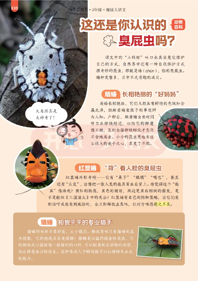 3下趣读大语文-围绕课本做拓展的杂志_2026春小学教辅大合集_13-26春《开心》系列_《趣读》杂志系列_《趣读大语文》
