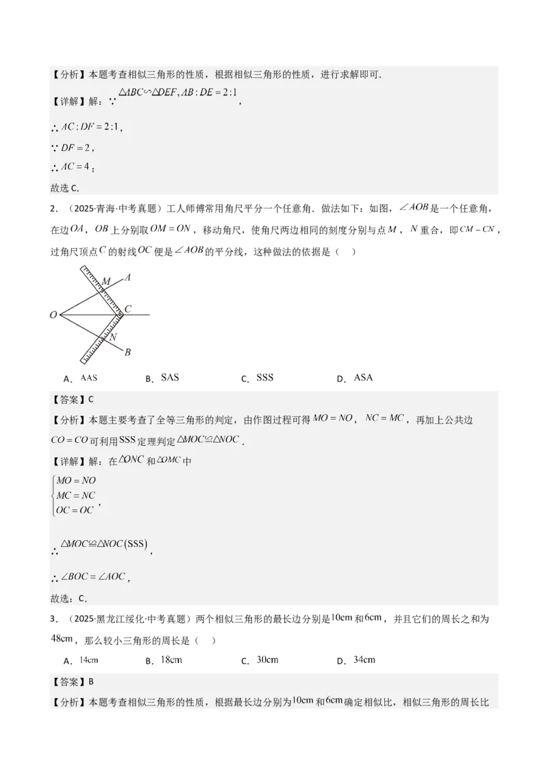 名师导航2026年中考数学一轮复习专题4.6相似与全等（全国通用版）（解析版）_中考复习资料_语数英物化_2数学中考复习_2026年中考复习（更新中）